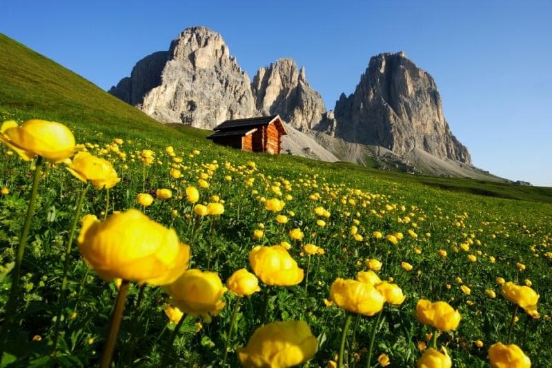 San Vigilio Spring Special