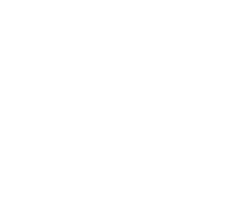 Liondes Chalets